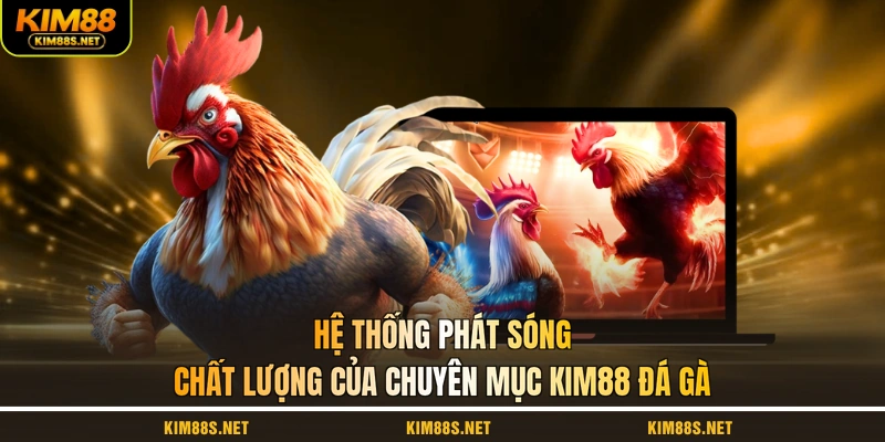 he-thong-phat-song-chat-luong-cua-chuyen-muc-kim88-da-ga