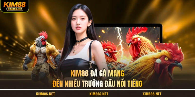 kim88-da-ga-mang-den-nhieu-truong-dau-noi-tieng