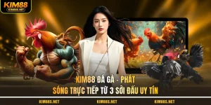 kim88-da-ga-phat-song-truc-tiep-tu-3-soi-dau-uy-tin