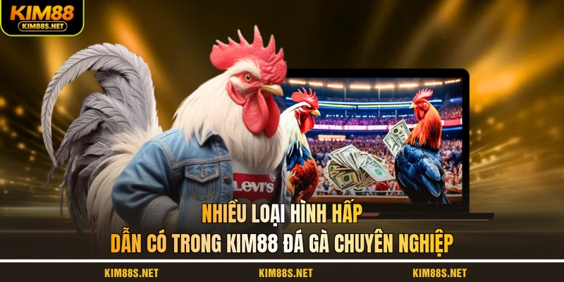 nhieu-loai-hinh-hap-dan-co-trong-kim88-da-ga-chuyen-nghiep