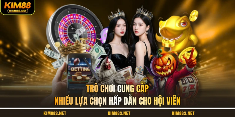 tro-choi-cung-cap-nhieu-lua-chon-hap-dan-cho-hoi-vien